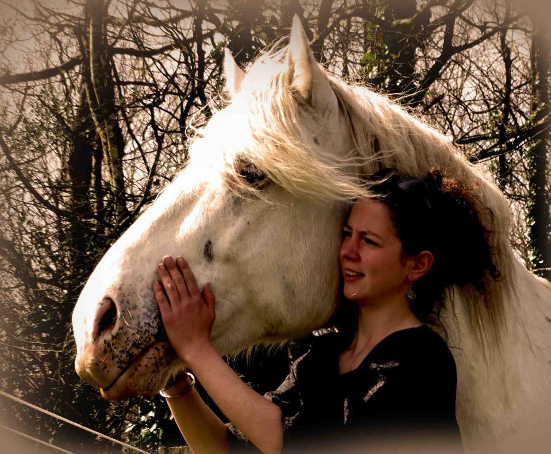 Une Roulotte Et Des Chevaux Treffléan Εξωτερικό φωτογραφία